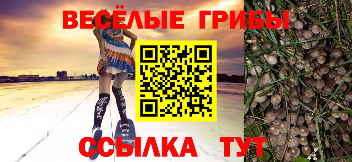 Галлюциногенные грибы Magic Shrooms  Вход с VPN  Кизилюрт 